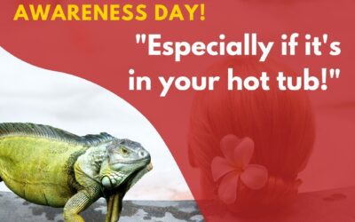 September 10 is National Iguana Awareness Day! “Especially if it’s in your hot tub!”